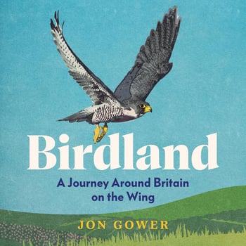 Birdland