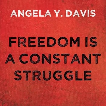 Freedom Is a Constant Struggle: Ferguson, Palestine, and the Foundations of a Movement