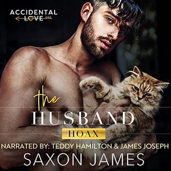 The Husband Hoax: Accidental Love, Book 1