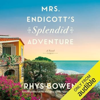Mrs. Endicott's Splendid Adventure: A Novel