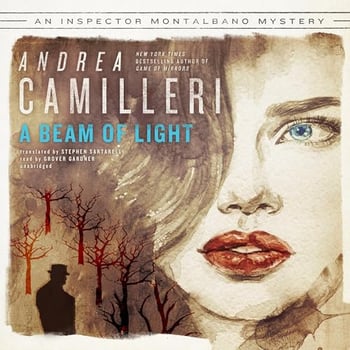 A Beam of Light: The Inspector Montalbano Mysteries 19