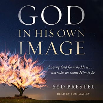 God in His Own Image: Loving God for Who He Is...Not Who We Want Him to Be