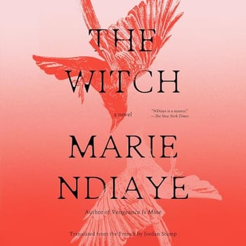 The Witch: A Novel