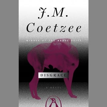 Disgrace: A Novel