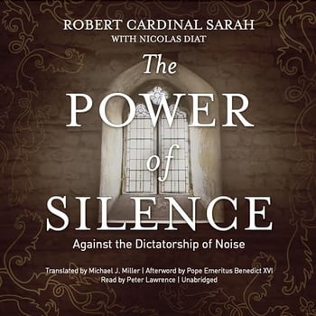 The Power of Silence: Against the Dictatorship of Noise