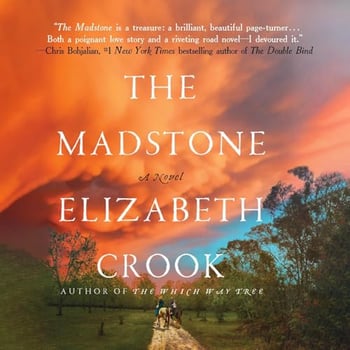 The Madstone: A Novel