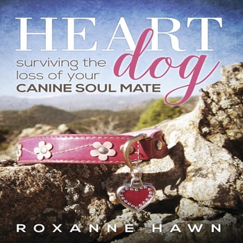 Heart Dog