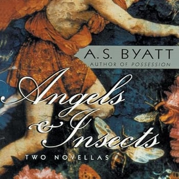 Angels & Insects