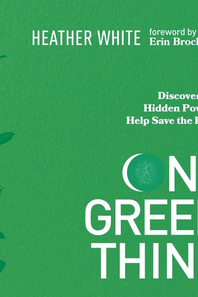 One Green Thing