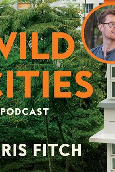 Wild Cities