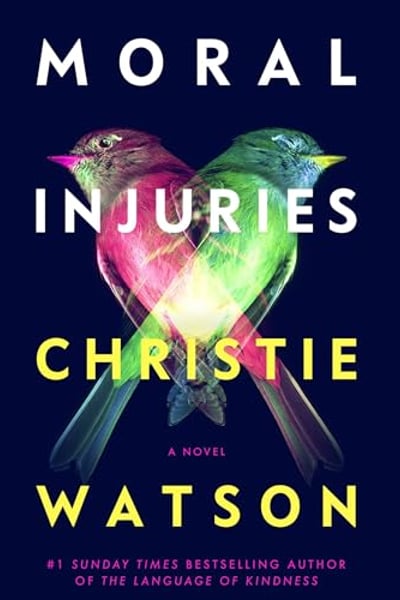 Moral Injuries: A Novel