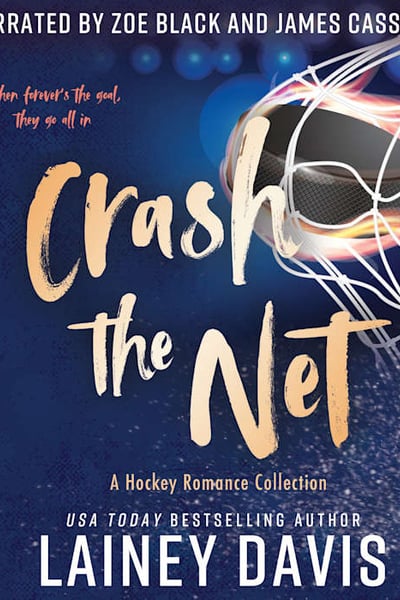 Crash the Net: A Hockey Romance Collection