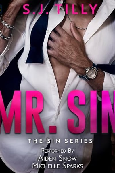 Mr. Sin: Sin Series, Book 1