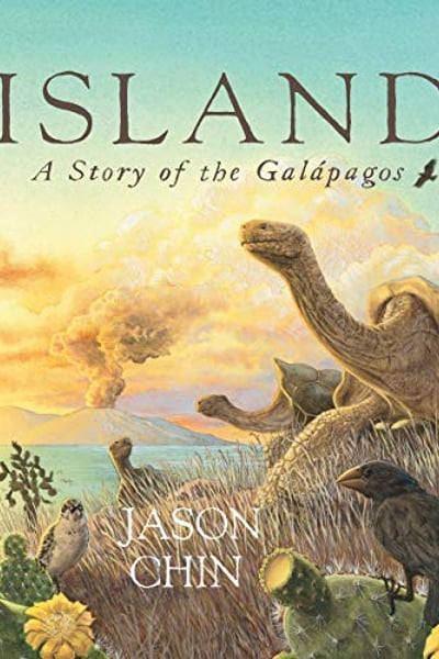 Island: A Story of the Galapagos