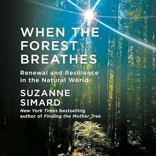 When the Forest Breathes: Renewal and Resilience in the Natural World