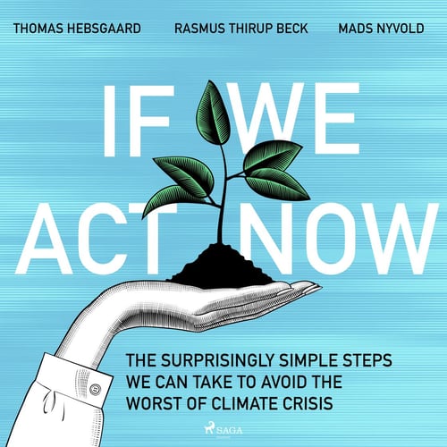 If We Act Now - the surprisingly simple steps we can take to avoid the worst of climate crisis