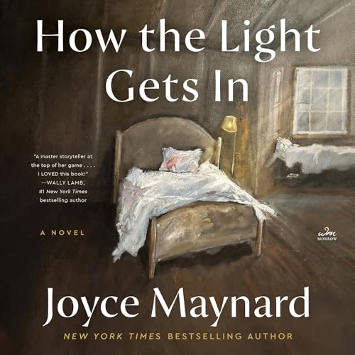 How the Light Gets In: A Novel