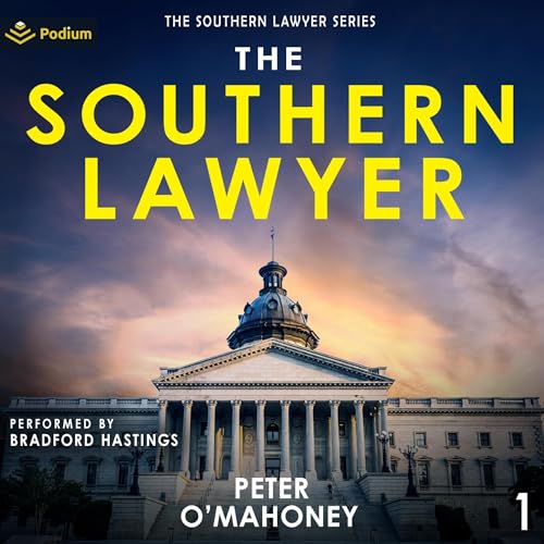 The Southern Lawyer: The Southern Lawyer Series, Book 1