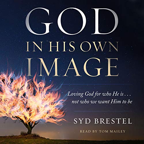 God in His Own Image: Loving God for Who He Is...Not Who We Want Him to Be