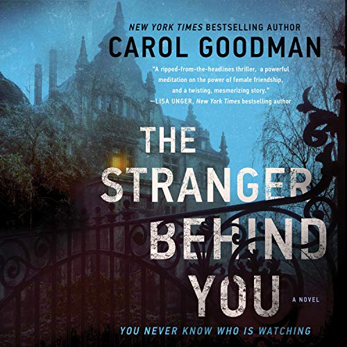 The Stranger Behind You: A Novel
