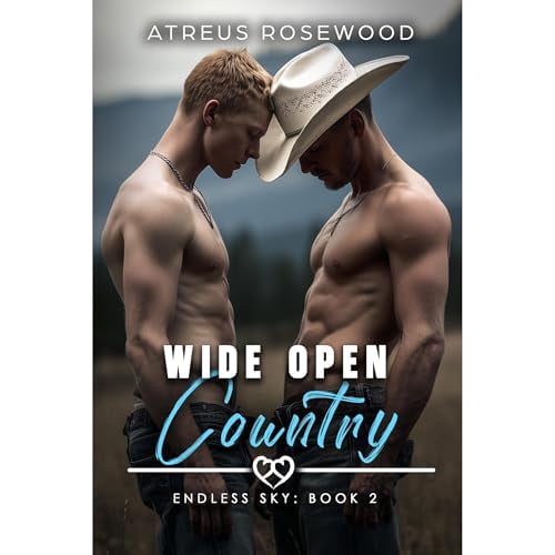 Wide Open Country: An MM Enemies to Lovers Cowboy Prison BDSM Romance