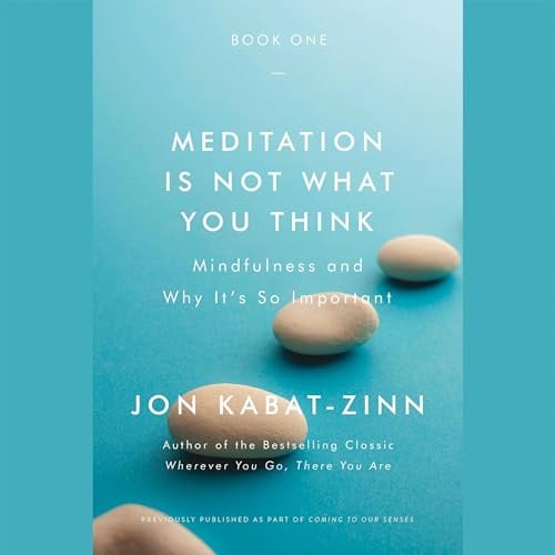 Meditation Is Not What You Think: Mindfulness and Why It Is So Important